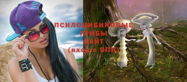 дурь Аркадак